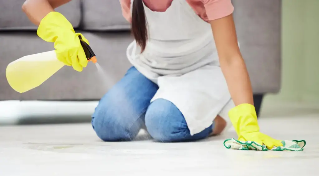 recurring cleaning services